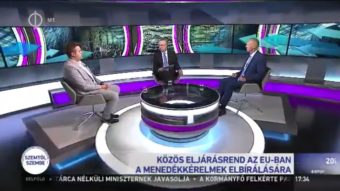 Ránk erőltetné az EU az új eljárását, amivel újabb milliókkal árasztaná el Európát