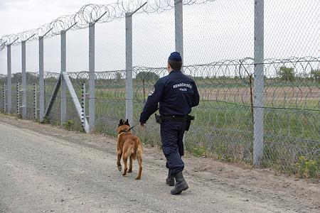 Hatékony a magyar-szerb határvédelem