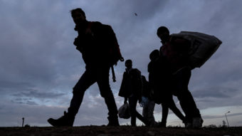 El kell utasítanunk, hogy a menekültjogot átpolitizálják bármilyen ideológia mentén — online konferencia, beszámoló