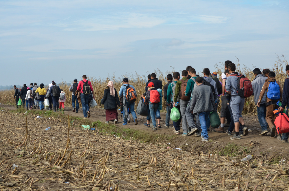 Erős migrációs nyomás nehezedik Magyarország déli határára