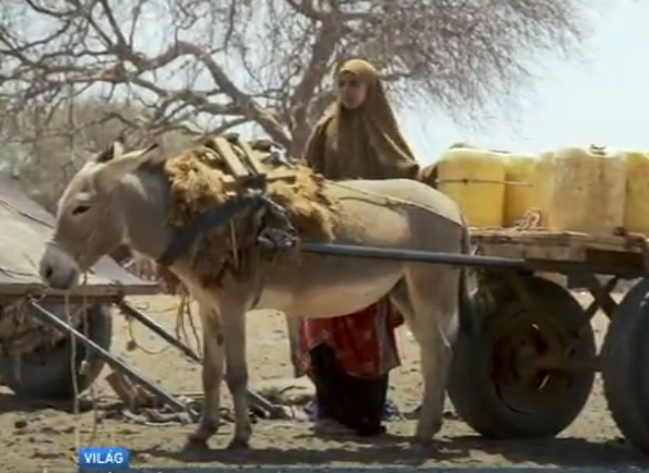 Válság Afrikában