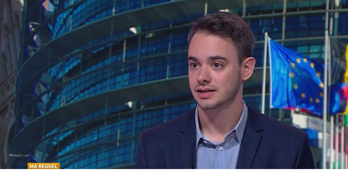 Milyen, a bevándorlással kapcsolatos ígéretekkel készülnek a kisebb európai pártcsaládok a június 9-ei megmérettetésre?