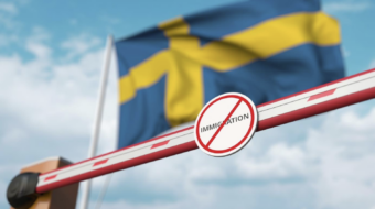 Analysis 2025/5: A svéd migrációs politika újragondolása – a Tidö-megállapodás dilemmái [Rethinking Swedish migration policy – the dilemmas of the Tidö agreement]