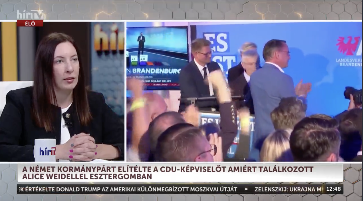 Láncreakció: Egyre több AfD-jelöltet utasítanak el a helyi választásokon