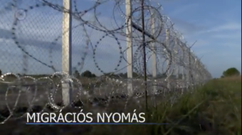 Migrációs nyomás